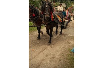 Slovakia Byt Oravský Biely Potok, Exterior